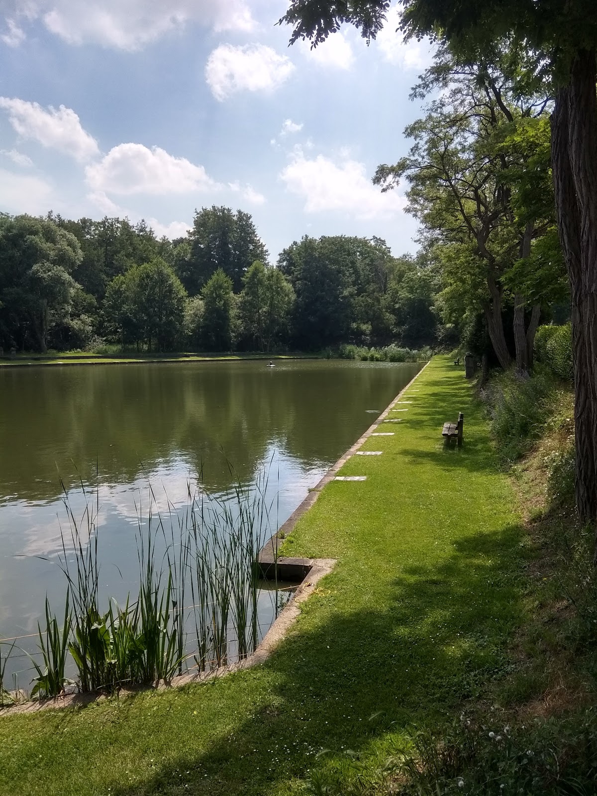 Felies Gezinsopvang Genk