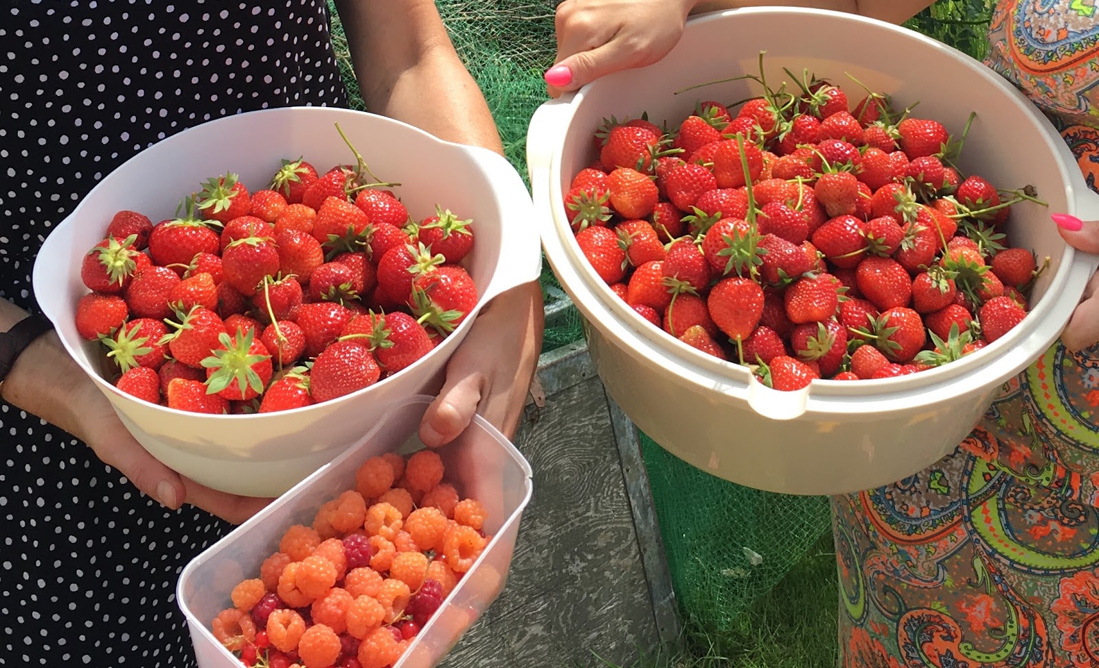 Kinderopvang Clara Di Luna Knokke-Heist