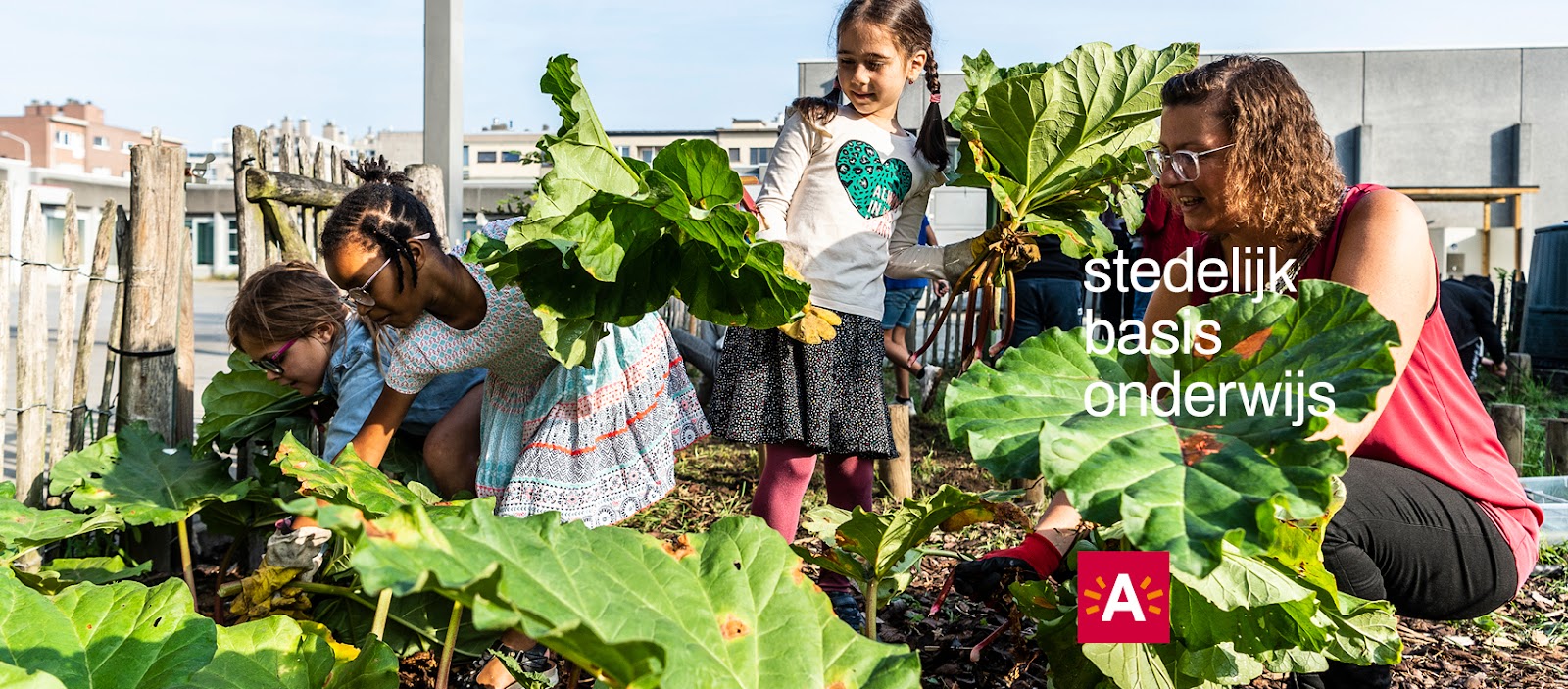 Kinderdagverblijf Antwerpen Hanegraefstraat